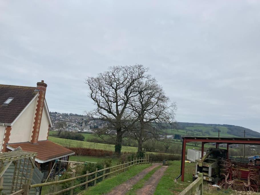 Park Gate House Farm Holidays, Colyton-'Elizabeth מראה חיצוני תמונה