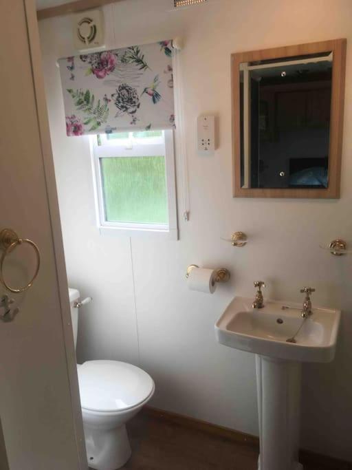 Park Gate House Farm Holidays, Colyton-'Elizabeth מראה חיצוני תמונה