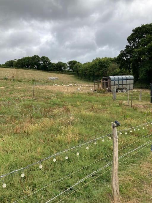 Park Gate House Farm Holidays, Colyton-'Elizabeth מראה חיצוני תמונה